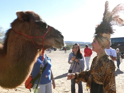 Encuentro con camellos